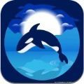 海洋金缘app安装正式版