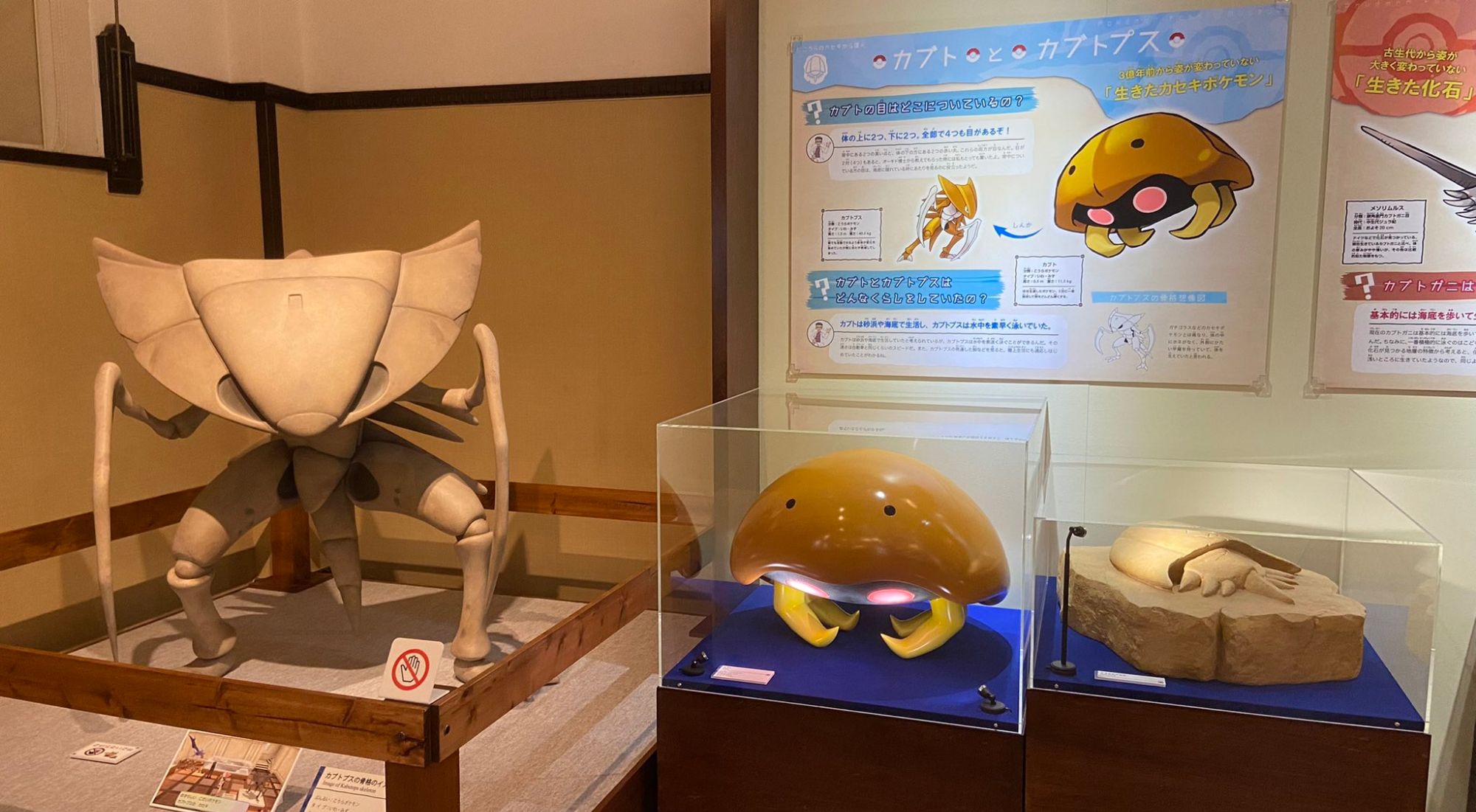 日本博物馆联合宝可梦举办化石巡回展 镰刀盔与菊石兽等宝可梦亮相