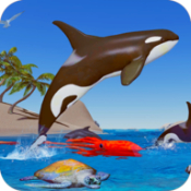 杀手虎鲸模拟器Killer Whale Orca Simulator
