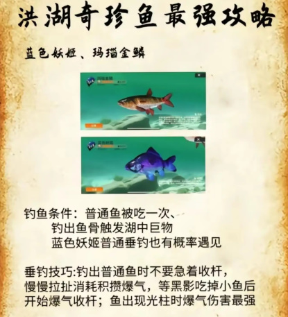 《欢乐钓鱼大师》洪湖最后两条鱼位置分享